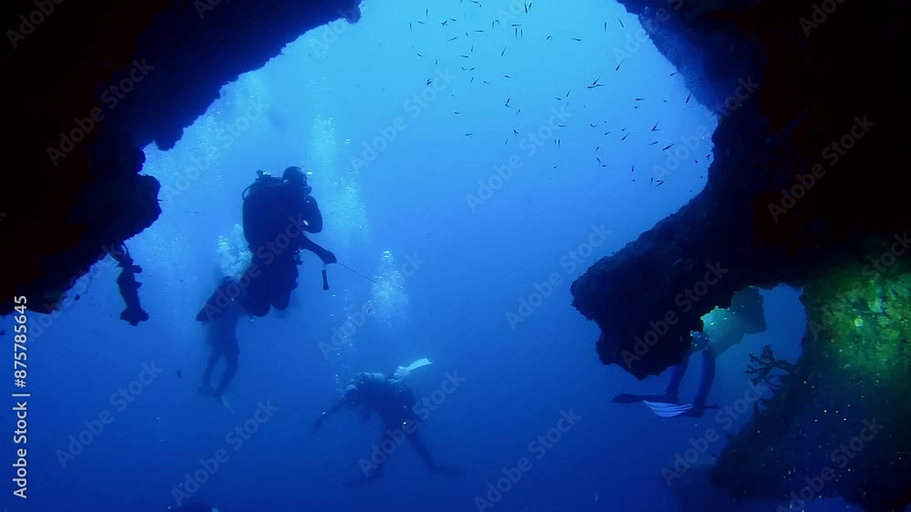 scuba diving in Philippines, beautiful coral reefs, cave diving, tech diving, in a tropical country Philippines scuba diving in Philippines, beautiful coral reefs, cave diving, tech diving, in a tropical country Philippines