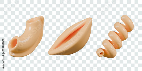 Appetizing short Italian pasta. Isolated realistic objects for food concepts