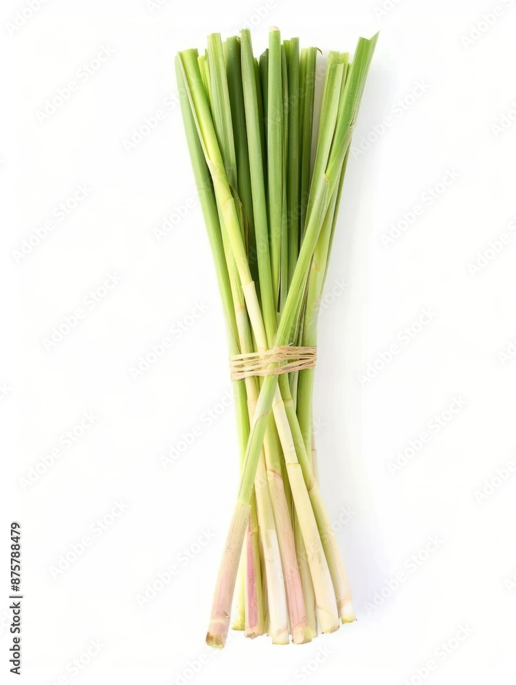 Fresh Lemongrass Bundle Fresh Lemongrass Bundle
