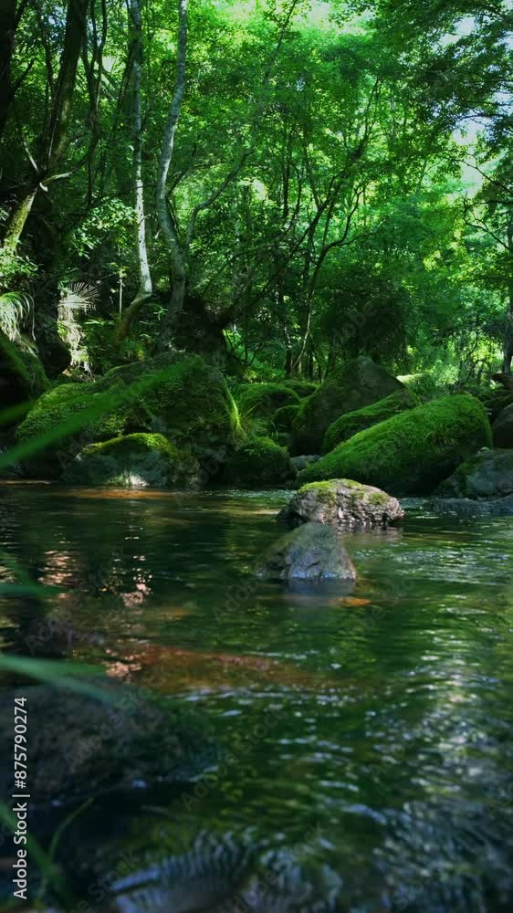Natural stream with rocks and green moss Natural stream with rocks and green moss
