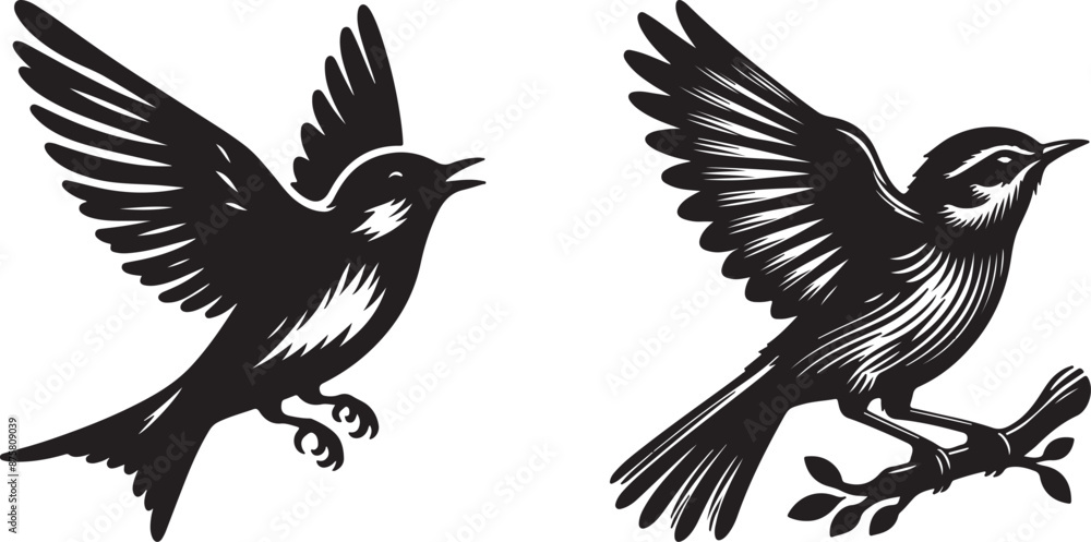 Fototapeta premium bird logo illustration black icon