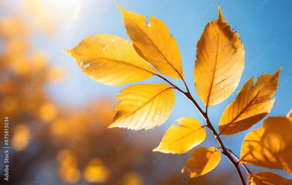 closeup of a golden fall leaf branch in autumn on sunny sky background. Generative AI. closeup of a golden fall leaf branch in autumn on sunny sky background. Generative AI.