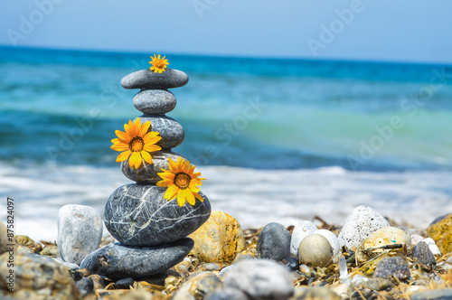 Photography Motivational concept made with shells, mussels, pearls and sea stones