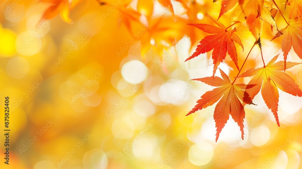 Autumn Theme Web Banner with Red and Yellow Leaves and Bokeh Effect Autumn Theme Web Banner with Red and Yellow Leaves and Bokeh Effect