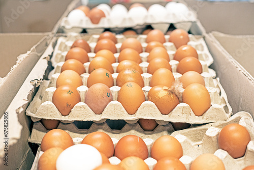 tray of brown chicken eggs on the counter in a supermarket © Nataliia Makarovska