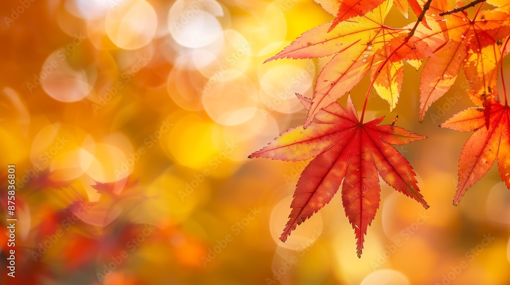 Autumn Theme Web Banner with Red and Yellow Leaves and Bokeh Effect Autumn Theme Web Banner with Red and Yellow Leaves and Bokeh Effect