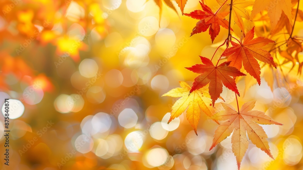 Autumn Theme Web Banner with Red and Yellow Leaves and Bokeh Effect Autumn Theme Web Banner with Red and Yellow Leaves and Bokeh Effect