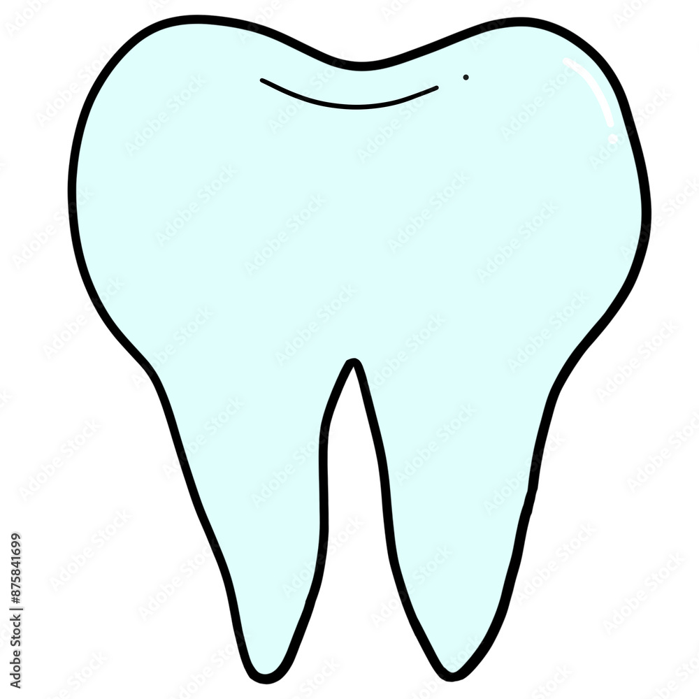 Teeth placed on a white background Teeth placed on a white background