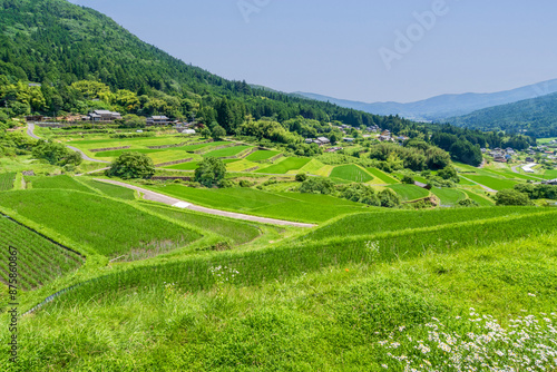 夏の坂折棚田（岐阜県恵那市）