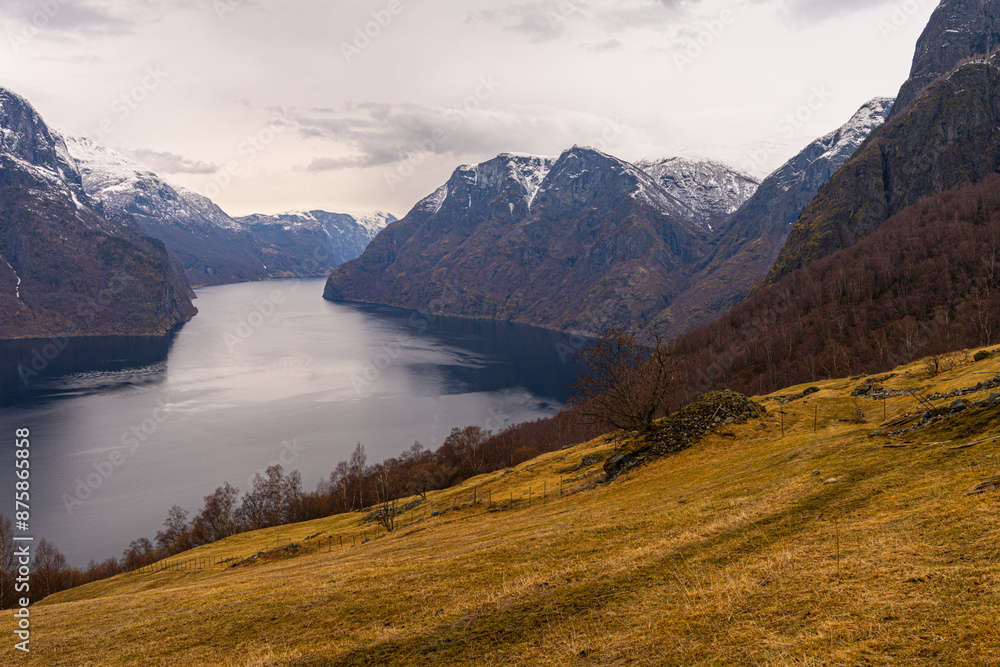 Fototapeta premium Aurlandsfjorden a fjord in Vestland county, Norway. The fjord flows through the municipalities of Aurland, Vik, and Lærdal