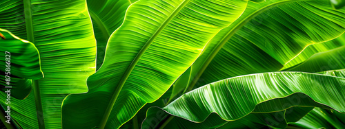Obraz na płótnie Detailed closeup of fresh green leaves with intricate patterns and vibrant textures w salonie