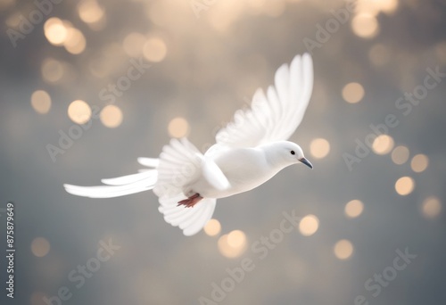 peace dove bird spirit holy fly white flight spiritual pigeon photo