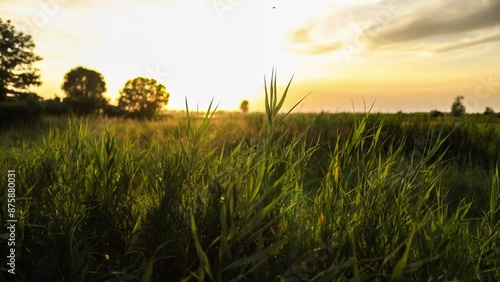 Golden Sunset Over Fields photo