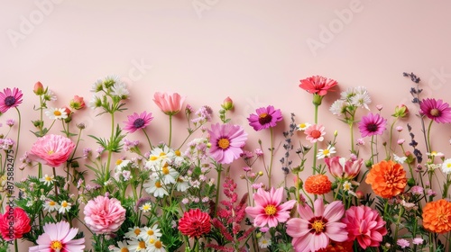 An Enchanting Array of Summer Flowers in Full Bloom Against a Soft Pink Backdrop
