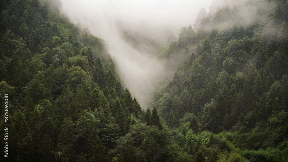 Ayder plateau, local houses and mountains and cloudsand rivers, Black Sea Region, Turkey Ayder plateau, local houses and mountains and cloudsand rivers, Black Sea Region, Turkey