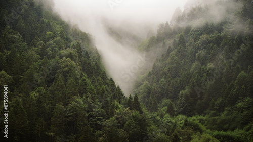 Ayder plateau, local houses and mountains and cloudsand rivers, Black Sea Region, Turkey