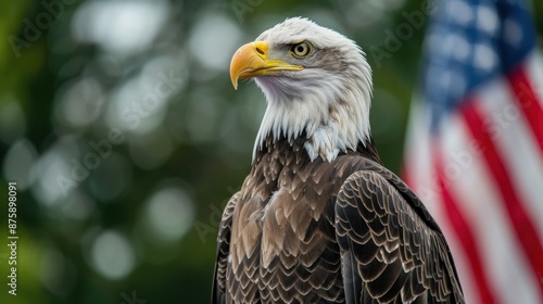 Obraz na płótnie Eagle With American Flag w salonie