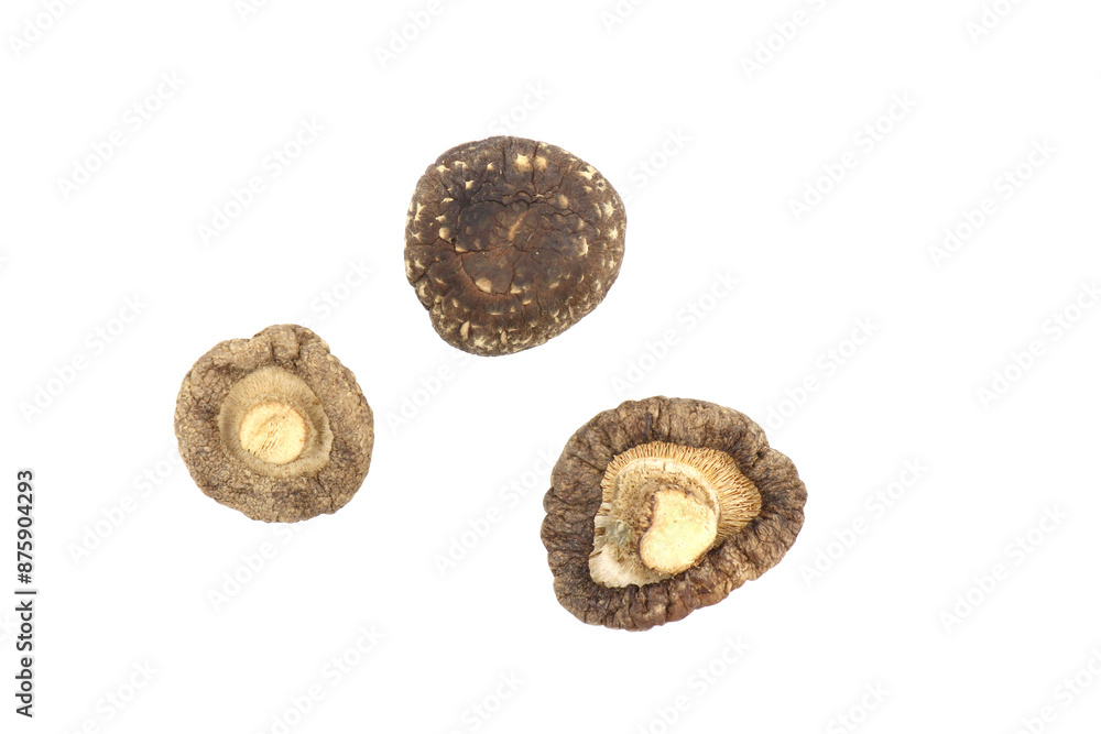 Dried Shiitake Mushroom on a white background Dried Shiitake Mushroom on a white background
