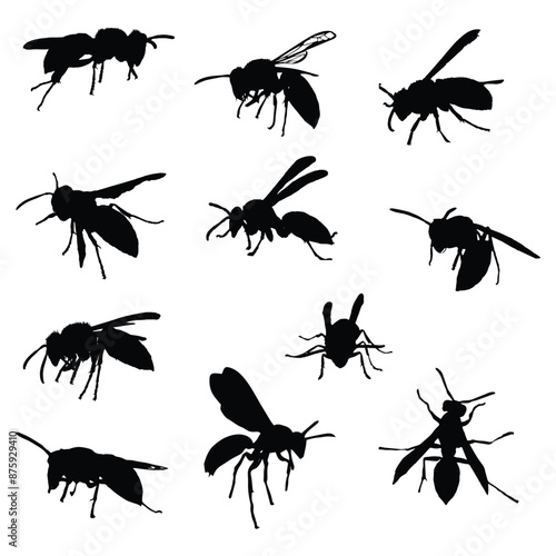 Wasp Silhouette Vector Illustration Set