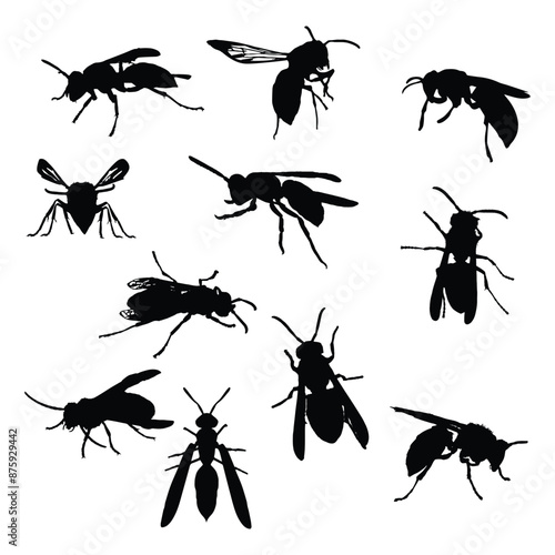 Wasp Silhouette Vector Illustration Bundle