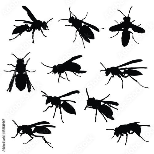 Set of Wasp Silhouette Vector Illustration