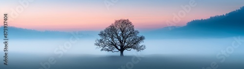 Lone Tree in Foggy Landscape.