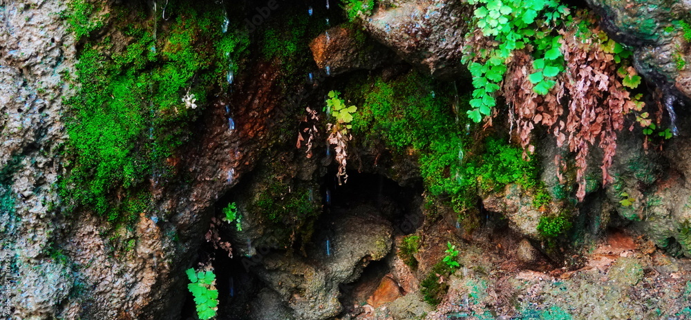 Mossy Rock Caves Waterfall Close-Up Colorful Mossy Rock Caves Waterfall Close-Up Colorful