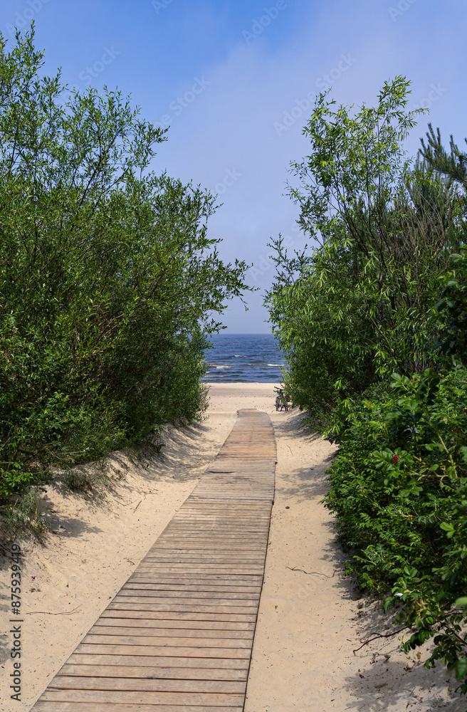 Fototapeta premium Path to the beach on a sunny summer day, Jantar, northern Poland