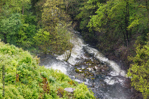 Warche River among abundant leafy trees and wild green valley vegetation, seen from Robertville Dam, water flowing between rocks and stones, cloudy day in Waimes, Belgium