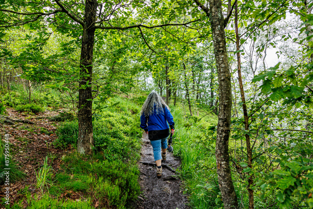 Rear view of a mature female hiker walking on trail between wild grass and green leafy trees, climbing a hill in Warche Valley, foggy in blurred background, cloudy summer day in Waimes, Belgium Rear view of a mature female hiker walking on trail between wild grass and green leafy trees, climbing a hill in Warche Valley, foggy in blurred background, cloudy summer day in Waimes, Belgium