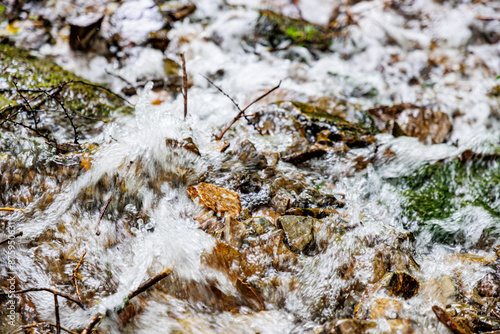 Low level river water flowing quickly between stones on bank, twigs dry and moss, blurred background, summer day in Warche valley, Waimes, Belgium photo