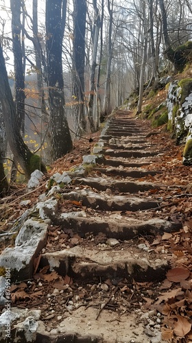 A stone staircase winds through a dense forest. photo