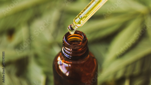 Cuadro en lienzo Drop of hemp based pharmaceutical CBD oil with blur background of cannabis marij