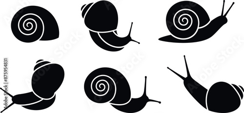 Grape snail logo. Isolated grape snail on white background