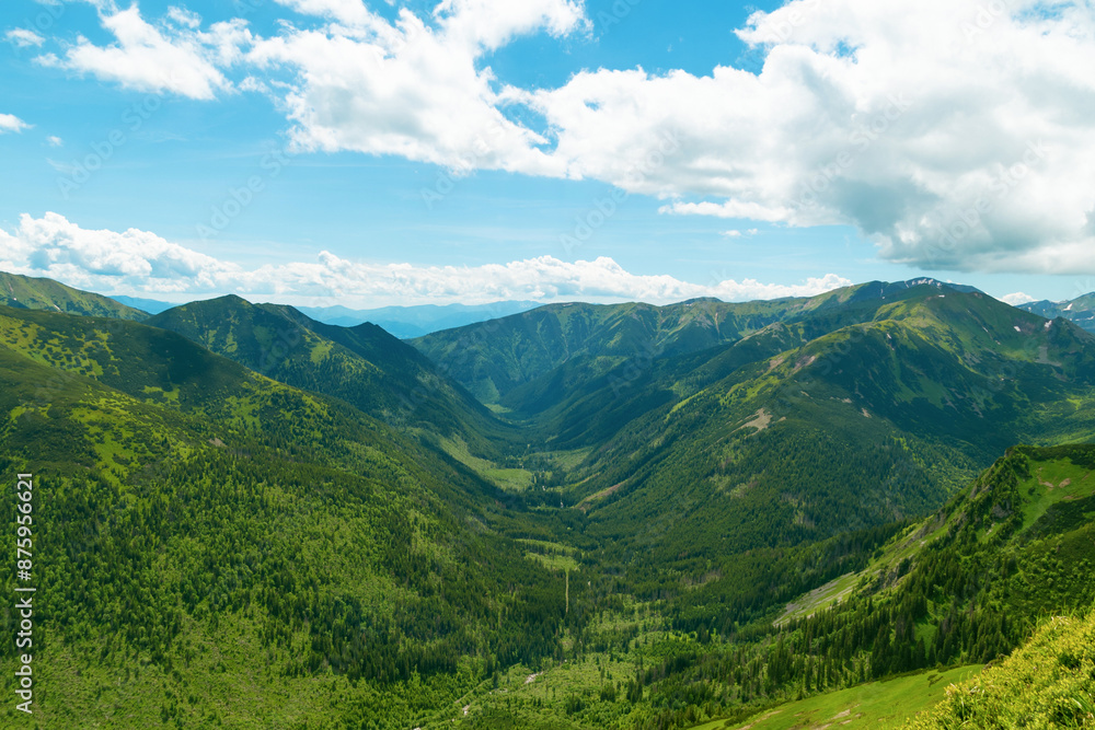 Beautiful mountain landscape in summer. Green grass, high rocks, blue sky and white clouds. Natural background. Tatra Mountains Beautiful mountain landscape in summer. Green grass, high rocks, blue sky and white clouds. Natural background. Tatra Mountains