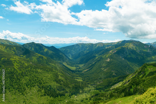 Beautiful mountain landscape in summer. Green grass, high rocks, blue sky and white clouds. Natural background. Tatra Mountains