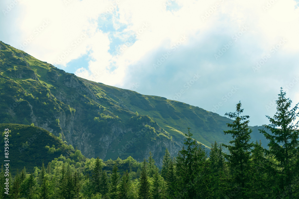 Fototapeta premium Beautiful summer landscape in the mountains. Green mountains and blue sky. Tatras