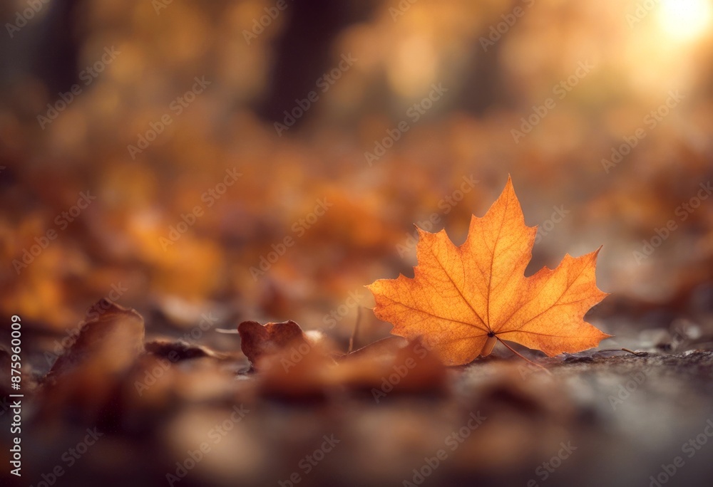 background botany bright autumn fall leaf colours leaves abstract shallow very closeup red branch background botany bright autumn fall leaf colours leaves abstract shallow very closeup red branch