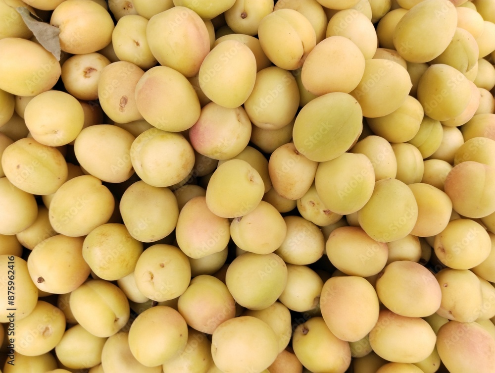 Heap of apricot fruit apricots prunus armeniaca stone fruit armenian plums heap sweet damasco juicy ripe abricot albaricoque khubani, image, zardaloo, khoobani zardalou zard aloo photo Heap of apricot fruit apricots prunus armeniaca stone fruit armenian plums heap sweet damasco juicy ripe abricot albaricoque khubani, image, zardaloo, khoobani zardalou zard aloo photo