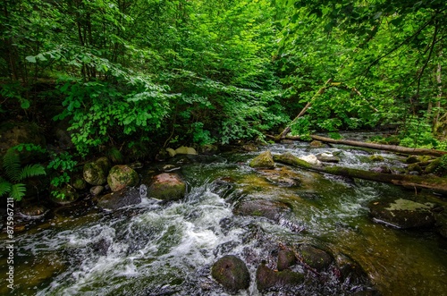 Beautiful stream in forest - beautiful natural landscape in the forest. holidays, relax, calm, mental health, alone
