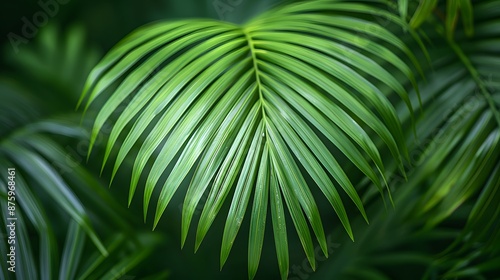 Close-up photograph of a lush green palm leaf with water droplets on its surface against a blurred background of tropical foliage.