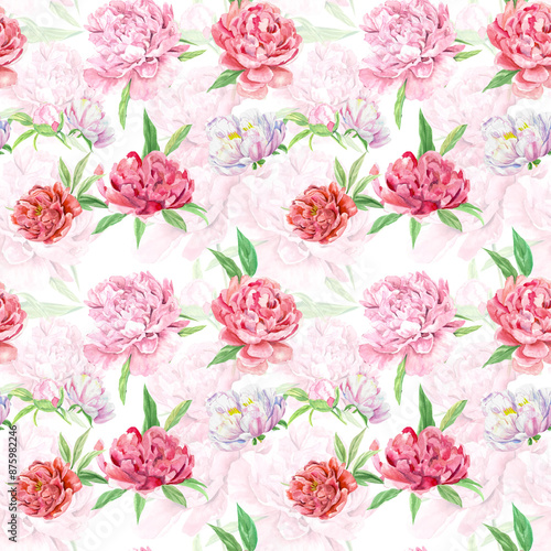 Wallpaper Mural Pattern floral Peony Watercolor Clipart for Commercial Use Torontodigital.ca
