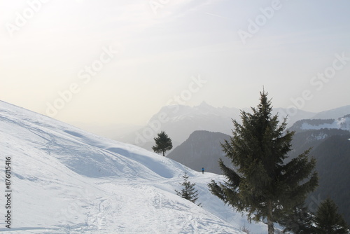 Snowy Mountain Trail