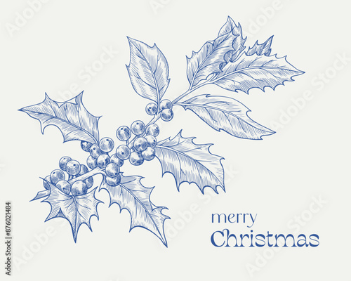 A branch of a holly tree Merry Christmas. Toile art Vector vintage template, blue and light beige colors. Hand drawn illustration for design greeting card , winter holiday decor