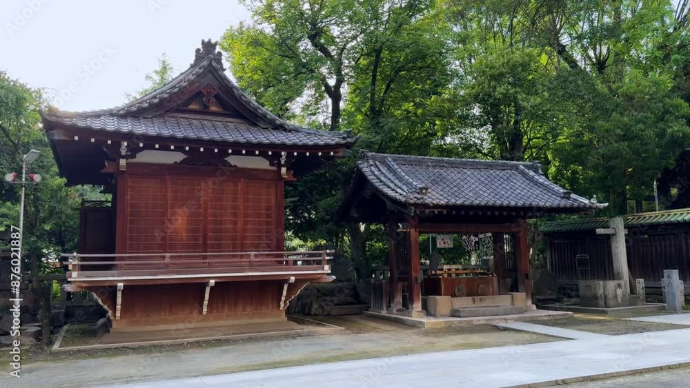 Traditional Japanese shrine surrounded by lush green trees on a sunny day Traditional Japanese shrine surrounded by lush green trees on a sunny day