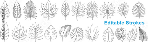 botanical leaf line illustration for natural designs