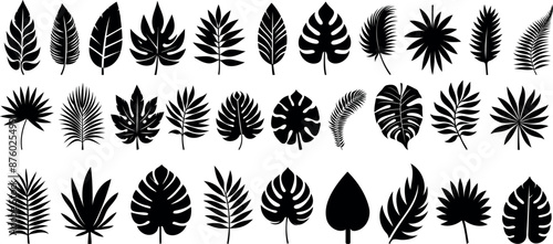Leaf vector set, 30 leaves silhouette designs, tropical leaf silhouettes, botanical leaves clipart, nature icons, plant graphics, foliage illustrations, decorative elements, natural patterns