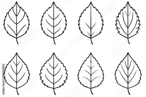 Aspen Leaf Minimalist Artwork Drawing