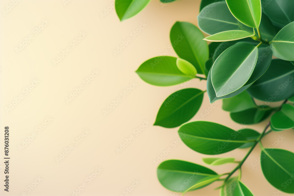 Green ficus elastica leaves background for creative banner with copyspace, green plant background, tropical leaves background, Generative AI Green ficus elastica leaves background for creative banner with copyspace, green plant background, tropical leaves background, Generative AI