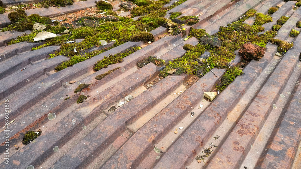 Old metal roof tile. Old roof tiles with moss and lichen. Old metal roof tile. Old roof tiles with moss and lichen.